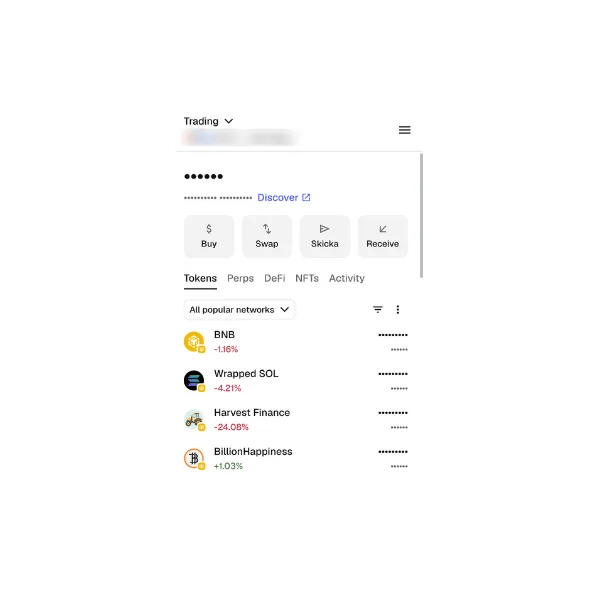 MetaMask-lompakko, jossa tokeneita kuten BNB ja Wrapped SOL