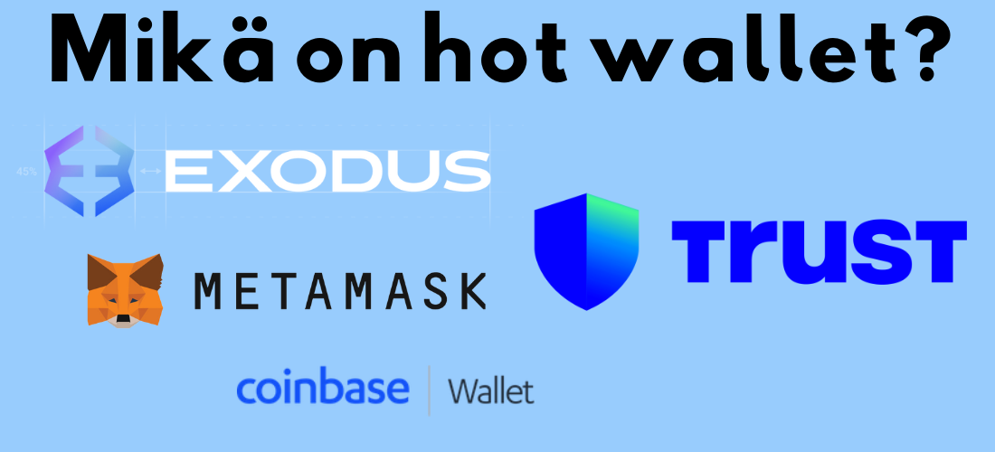 Mikä on hot wallet